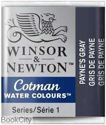 آبرنگ قرصی WINSOR 301465 Raynes Gray 465
