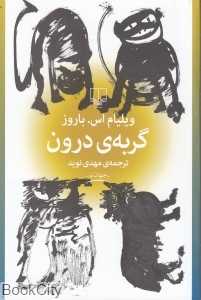 گربه درون