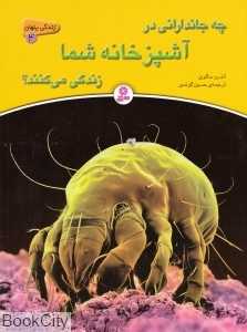 چه جاندارانی در آشپزخانه شما زندگی می‌کنند (زندگی پنهان 4)