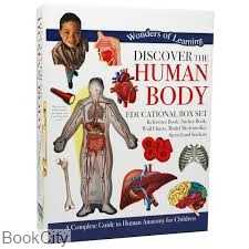 Discover Human Body 5174