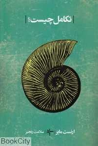 item.website_item_name