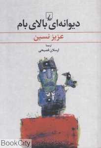 دیوانه‌ای بالای بام