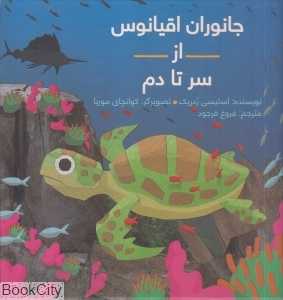جانوران اقیانوس از سر تا دم (گالینگور) (تصویرگر کوانچای موریا)