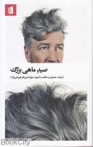 صید ماهی بزرگ (مراقبه هشیاری خلاقیت)