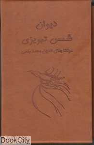 دیوان شمس تبریزی (2 جلدی چرم جیبی با قاب)