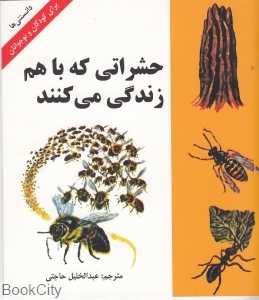 حشراتی که با هم زندگی می‌کنند (دانستنی‌ها)