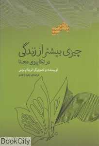 چیزی بیشتر از زندگی در تکاپوی معنا