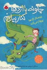 پرستار اژدها پرواز می‌کند (چگونه با اژدها کنار بیاییم 2)