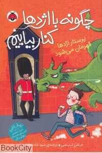 پرستار اژدها قهرمان می‌شود (چگونه با اژدها کنار بیاییم 6)