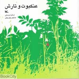 عنکبوت و تارش