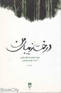 درخت زیبای من (قو)