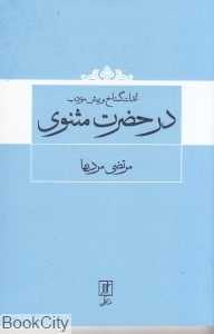 اندک گستاخ و بیش مودب در حضرت مثنوی