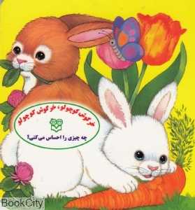خرگوش کوچولو خرگوش کوچولو چه چیزی را احساس میکنی