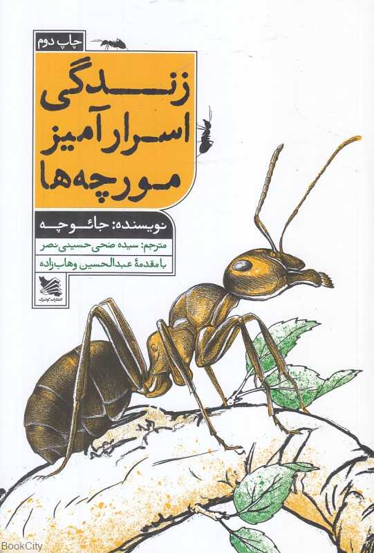 زندگی اسرارآمیز مورچه‌ها