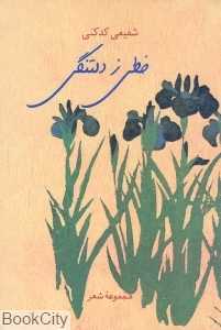 خطی ز دلتنگی (مجموعه شعر)