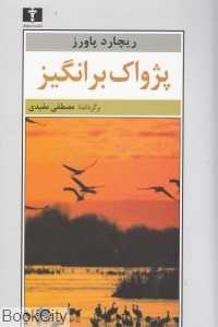 پژواک برانگیز