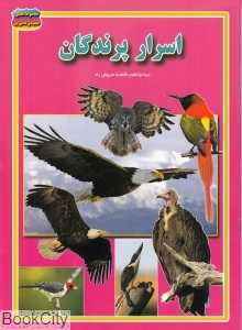 اسرار پرندگان