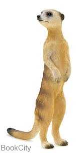Meerkat 387125