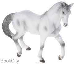 Andalusian 387149
