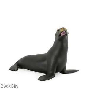 Californian Sea Lion 387115