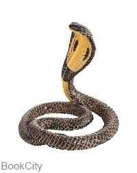 King Cobra 387126