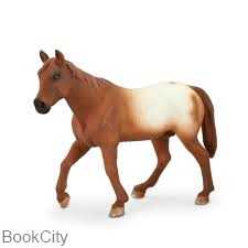 Appaloosa Stallion 387150