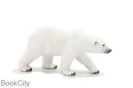 Polar Bear 387183