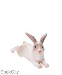 Laying Down Rabbit 387142