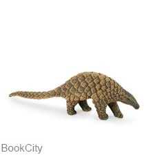 Indian Pangolin 387174