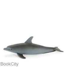 Bottlenose Nose Dolphin 387118