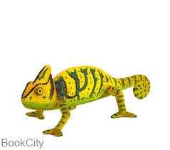 Chameleon 387129