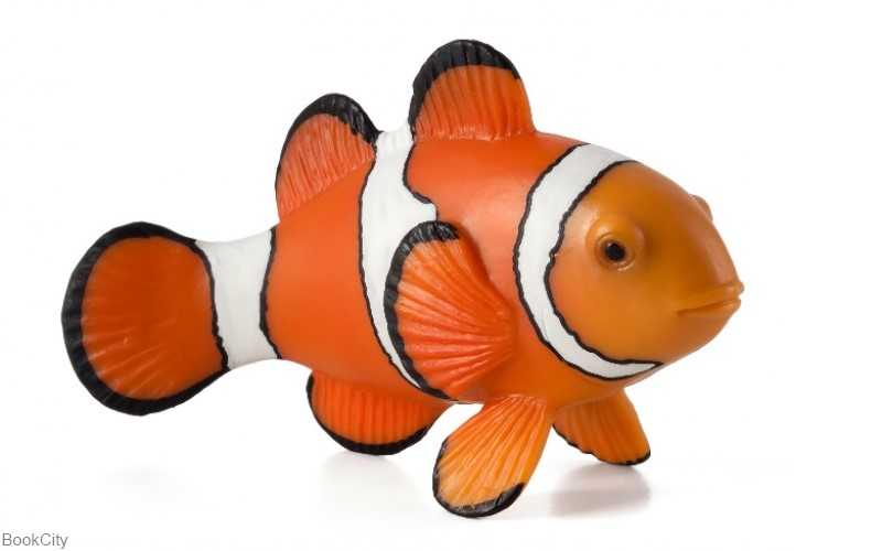 Clown Fish 387090
