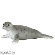 Grey Seal 387091