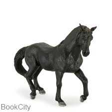 Andalusian 387109