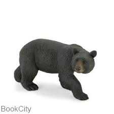 American Black Bear 387112