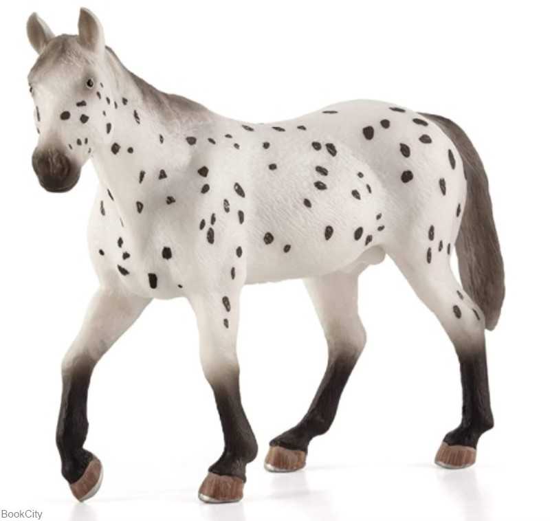 Appaloosa Stallion 387108