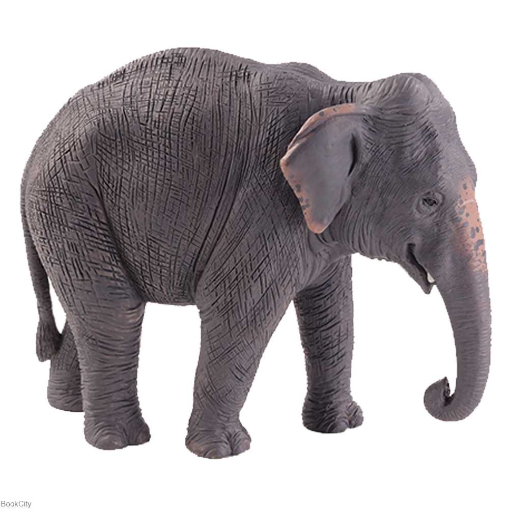 Indian Elephant 387266