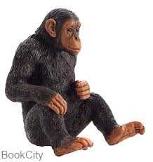 Chimpanzee 387265