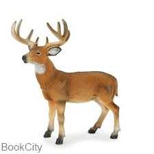 White Tailed Buck 387038