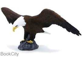 American Bald Eagle 387027
