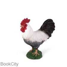Cockerel 387051