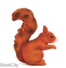 Red Squirrel 387031
