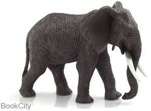 African Elephant 387189