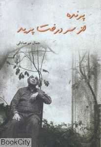 پرنده از سر درخت پرید