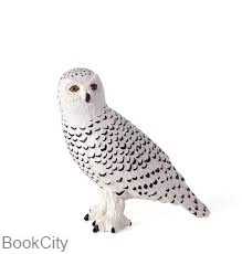 Snowy Owl 387201