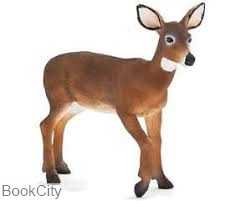 White Tailed Doe 387185