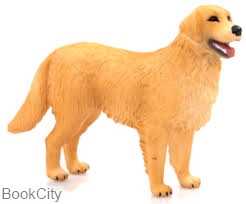 Golden Retriever 387198