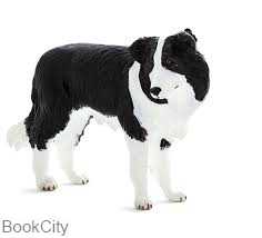 Border Collie 387203