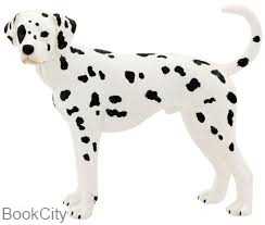 Dalmatian 387248