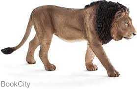 Male Lion 387204
